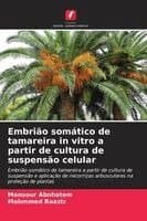 Embrião somático de tamareira in vitro a partir de cultura de suspensão celular