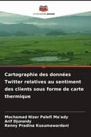 Cartographie des données Twitter relatives au sentiment des clients sous forme de carte thermique