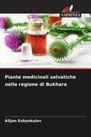 Piante medicinali selvatiche nella regione di Bukhara