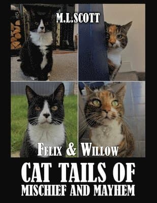 Felix & Willow cat tails of mischief and mayhem