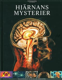 Hjärnans mysterier