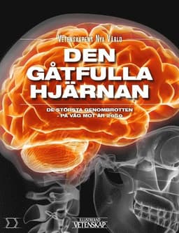 Den gåtfulla hjärnan