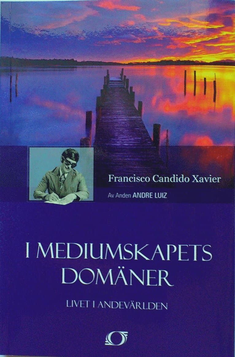 I mediumskapets domäner : livet i andevärlden