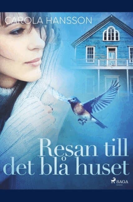 Resan till det blå huset