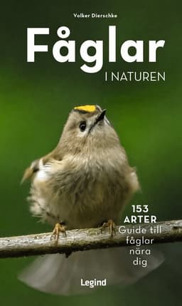 Fåglar i naturen : 153 arter, guide till fåglar nära dig