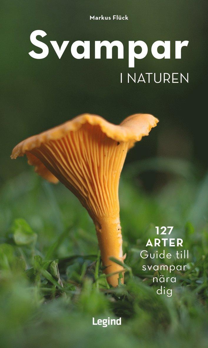 Svampar i naturen : 127 arter - guide till svampar nära dig