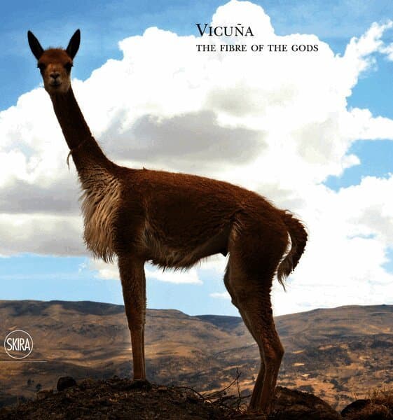 Vicuña