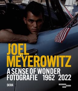 Joel Meyerowitz: A Sense of Wonder (Bilingual edition)