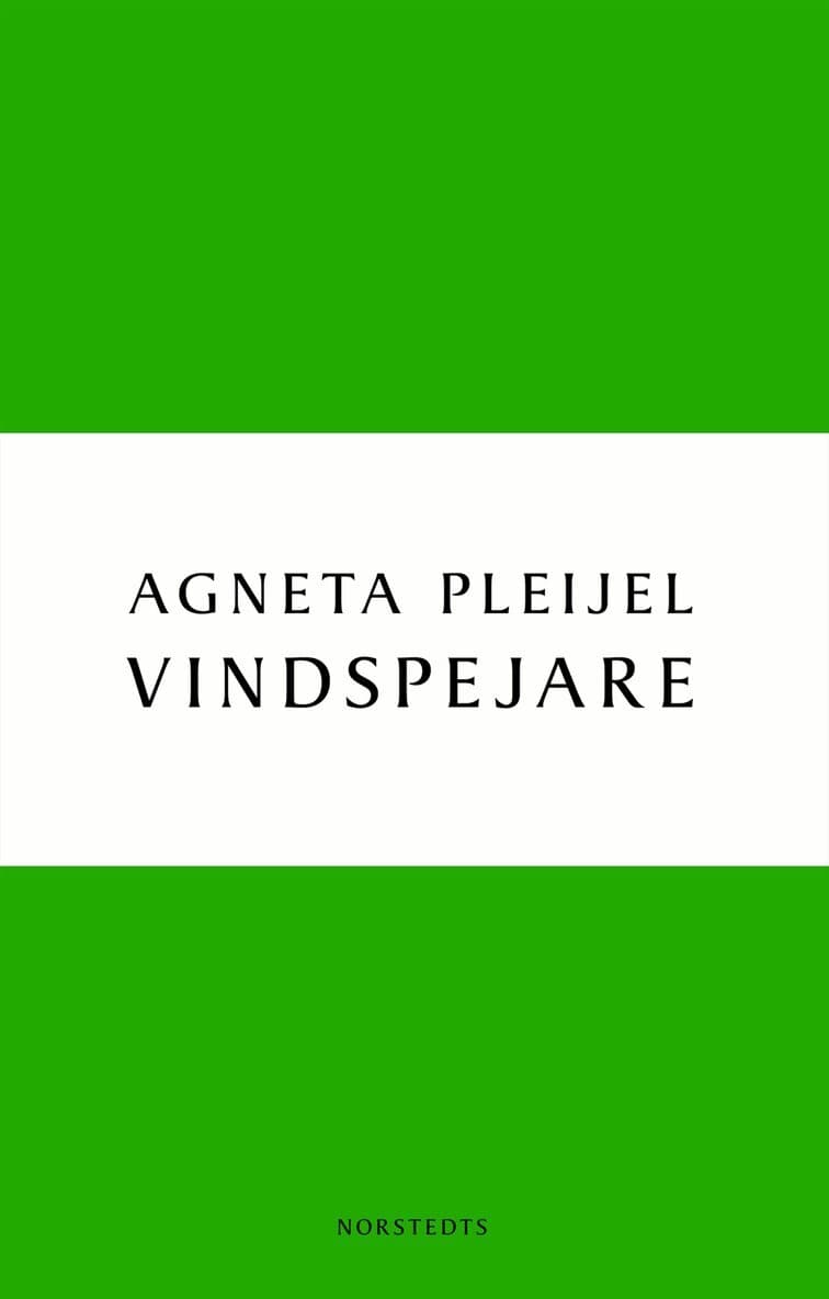 Vindspejare : boken om Abel målaren