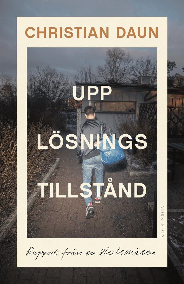 Upplösningstillstånd : rapport från en skilsmässa