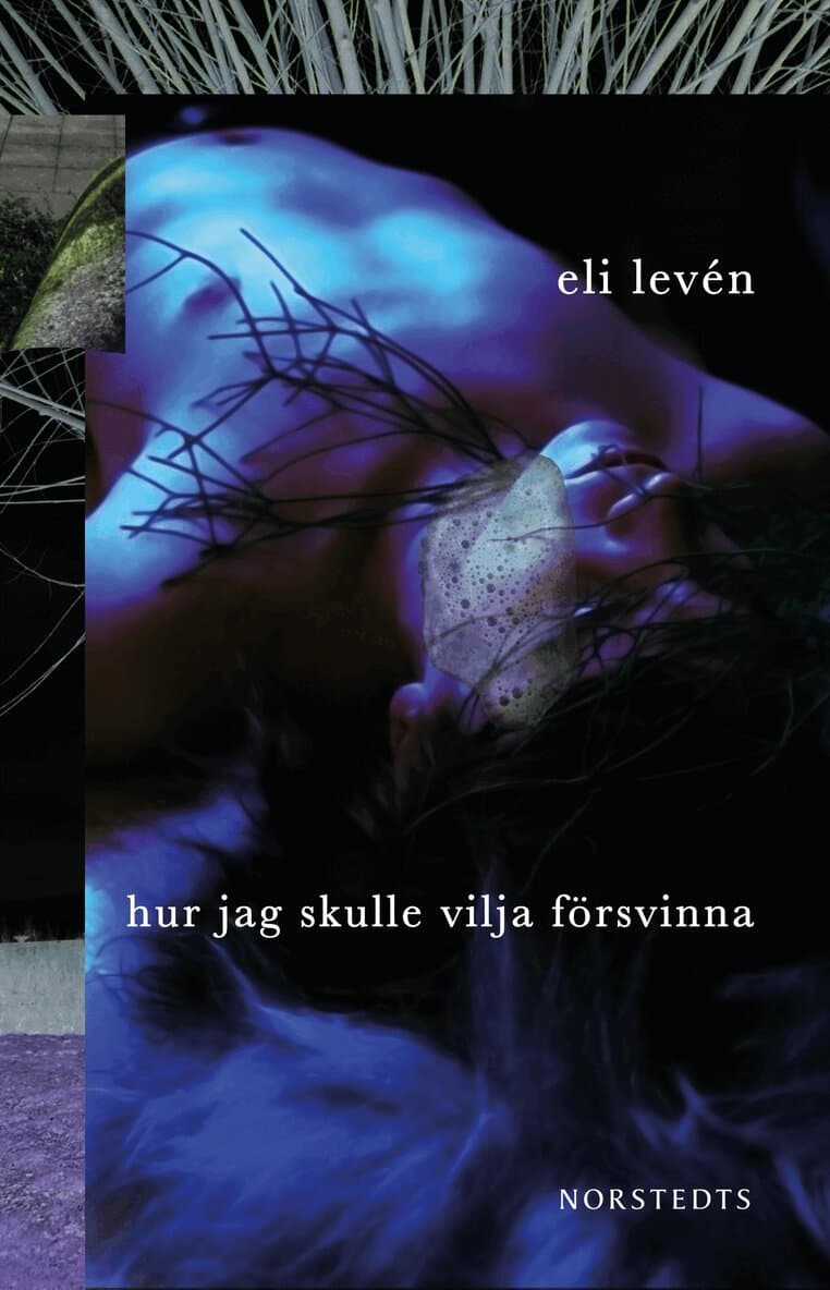 Hur jag skulle vilja försvinna