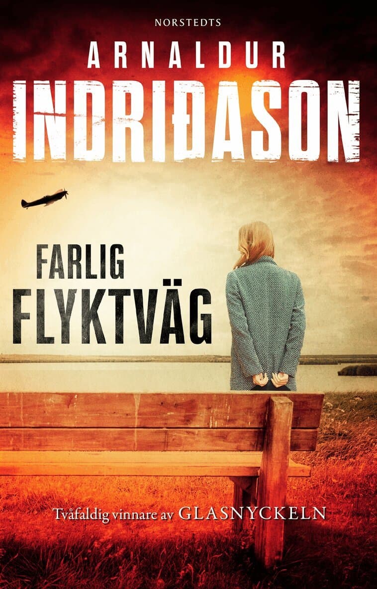Omslag till boken Farlig flyktväg av Arnaldur Indridason