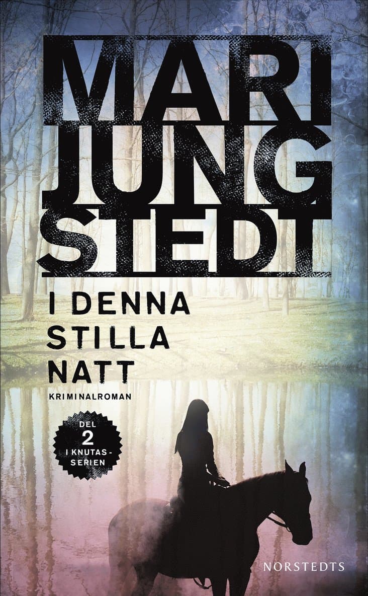 Omslag till boken I denna stilla natt av Mari Jungstedt