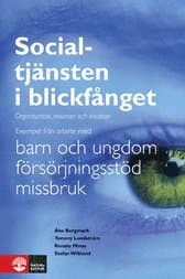 Socialtjänsten i blickfånget : organisation, resurser och insatser