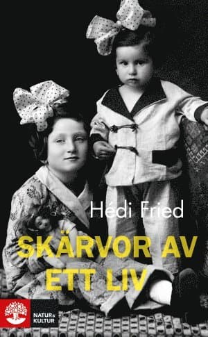 Skärvor av ett liv : vägen till och från Auschwitz