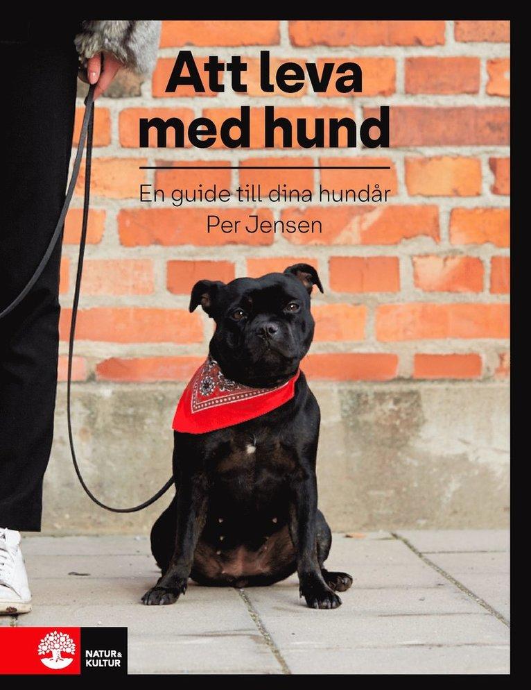 Att leva med hund : en guide till dina hundår
