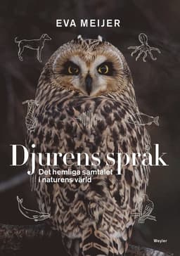 Djurens språk : det hemliga samtalet i naturens värld