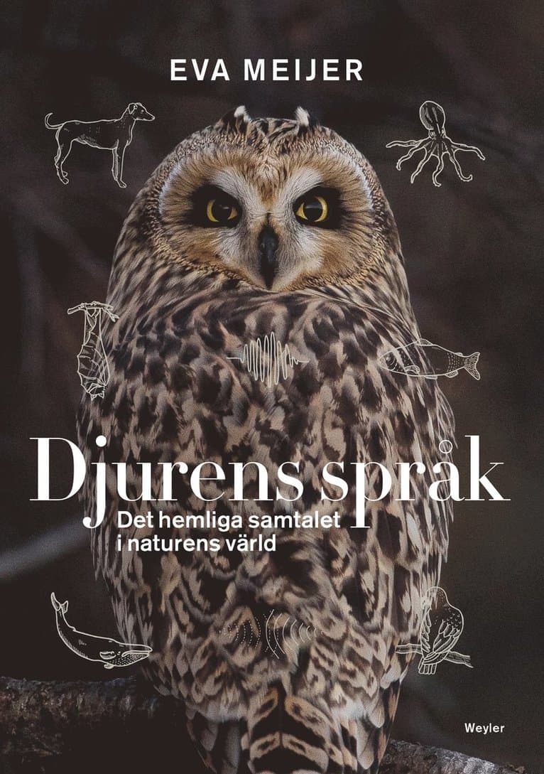 Djurens språk : det hemliga samtalet i naturens värld