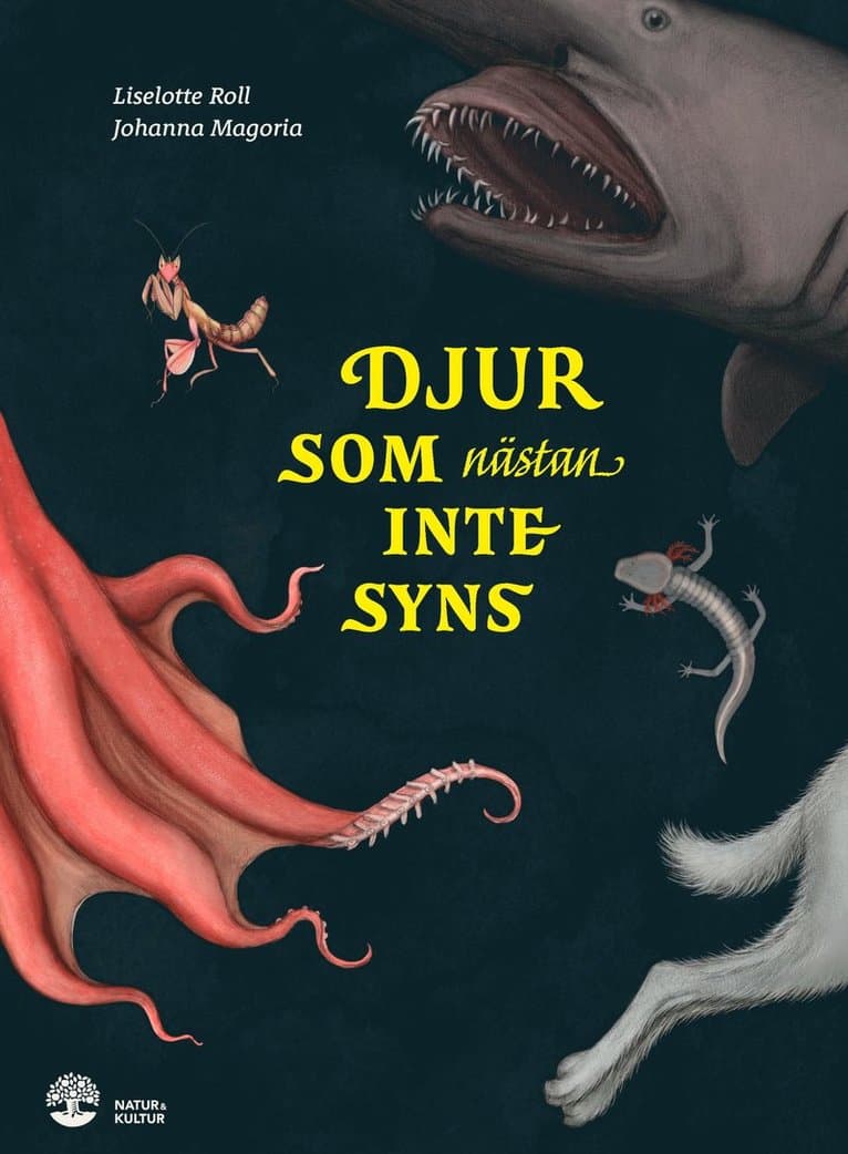 Djur som nästan inte syns