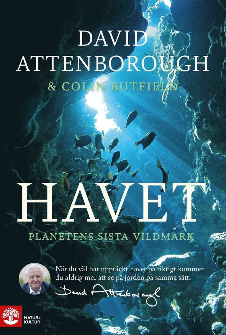 Havet : planetens sista vildmark