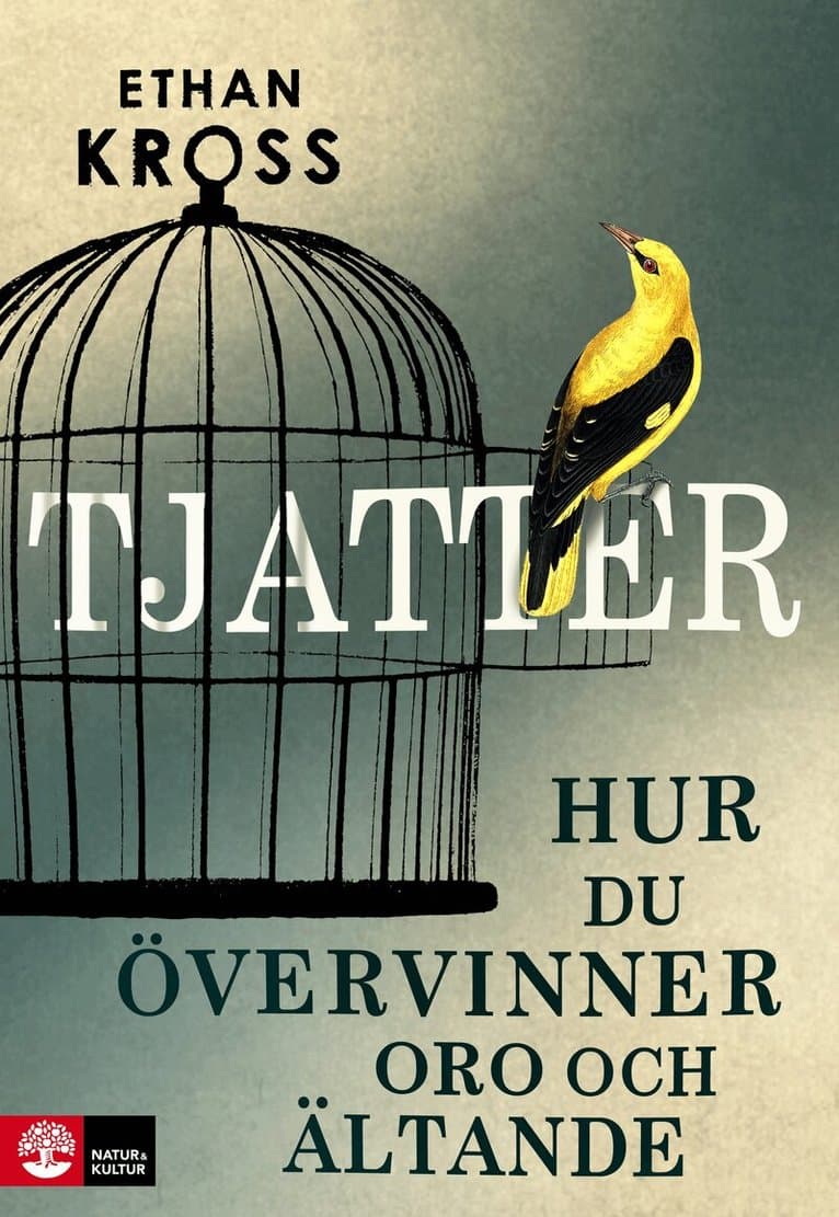 Tjatter : hur du övervinner oro och ältande