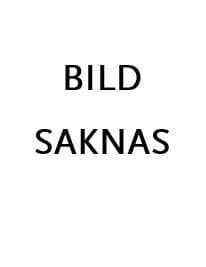 Utredningsskyldighet, bevisbörda och beviskrav i förvaltningsprocessen