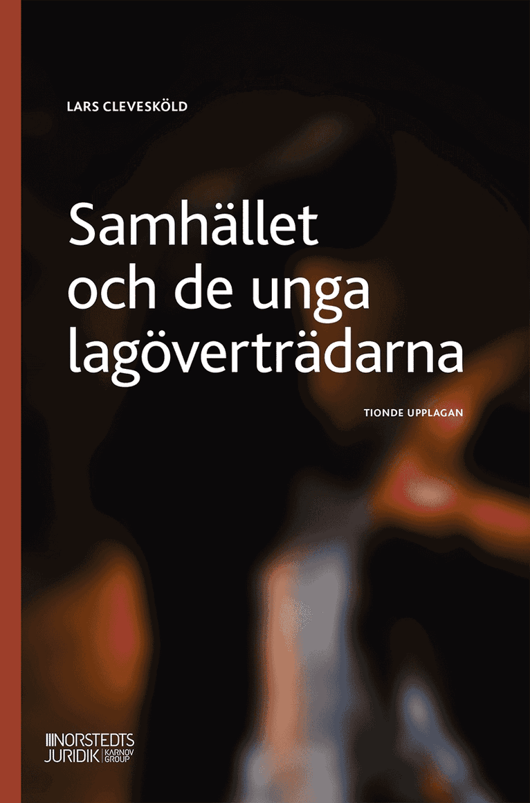 Samhället och de unga lagöverträdarna