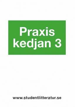 Praxiskedjan 3