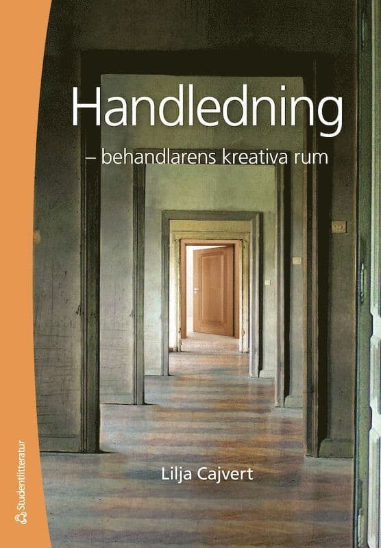 Handledning : behandlarens kreativa rum