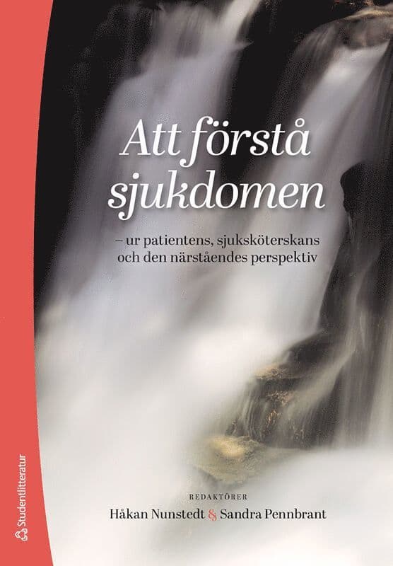 Att förstå sjukdomen - - ur patientens, sjuksköterskans och den närståendes perspektiv