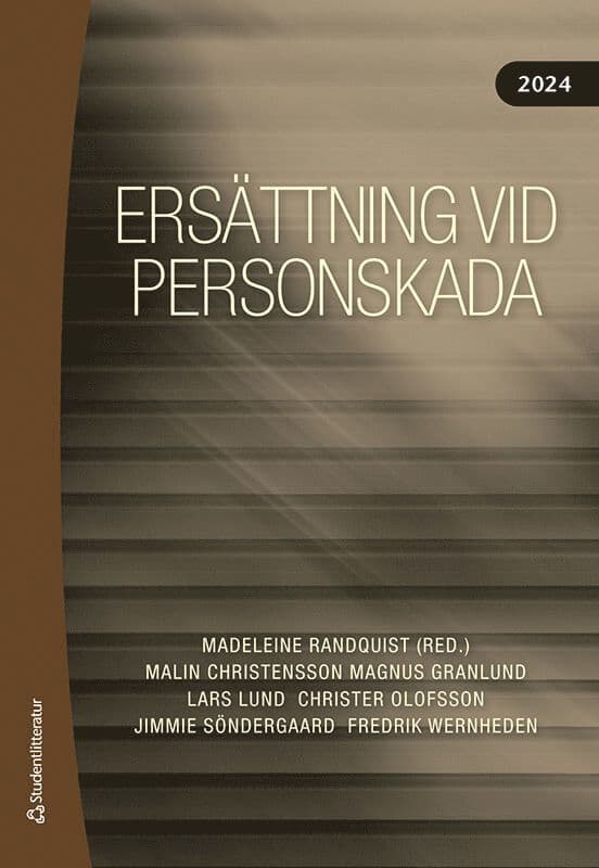 Ersättning vid personskada 2024