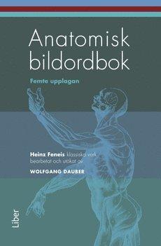 Anatomisk bildordbok