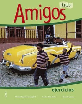 Amigos 3 Övningsbok