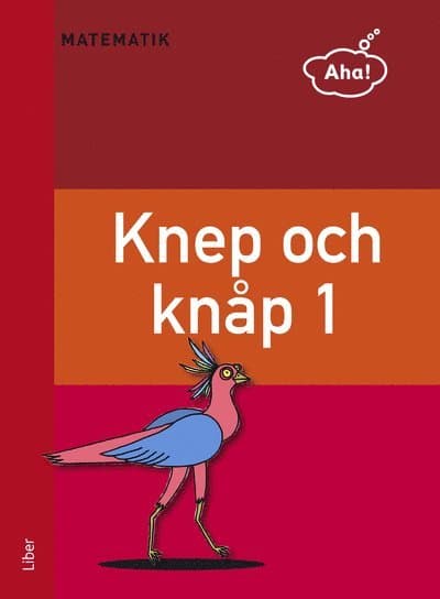 Aha Matematik-Knep och knåp 1