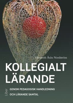 Kollegialt lärande
