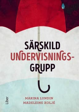 Särskild undervisningsgrupp