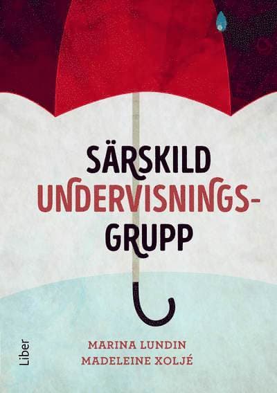 Särskild undervisningsgrupp
