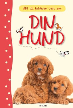Allt du behöver veta om din hund