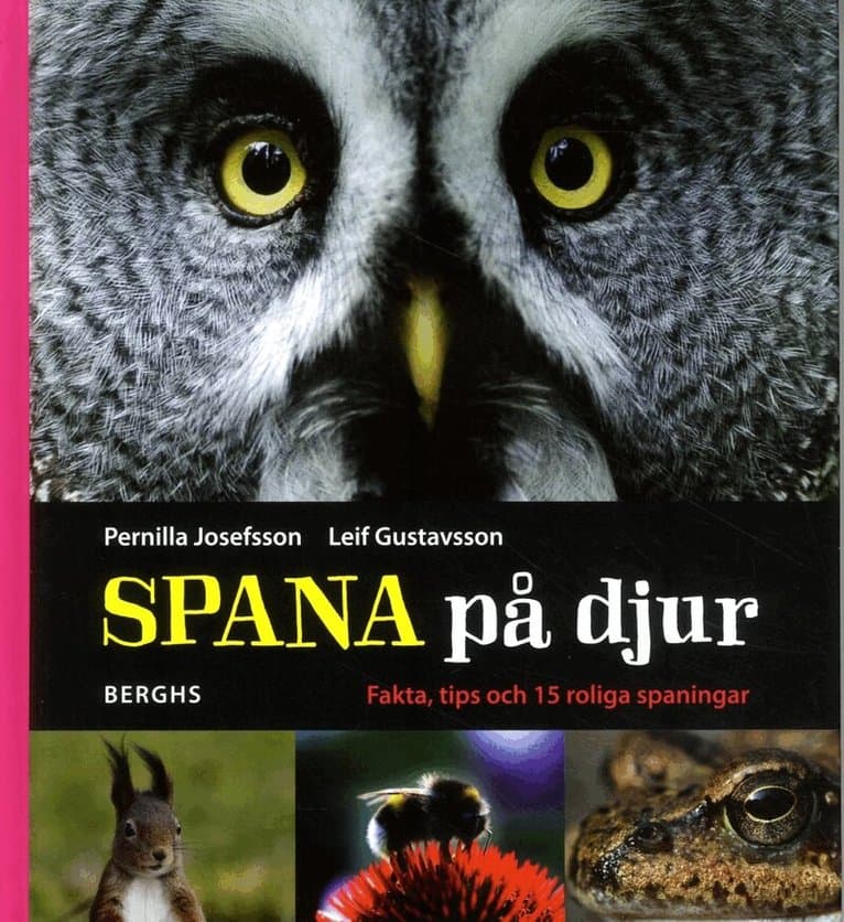 Spana på djur