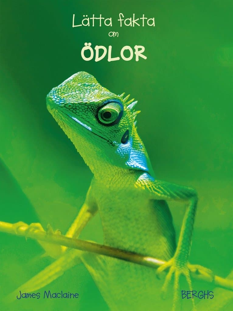 Lätta fakta om ödlor