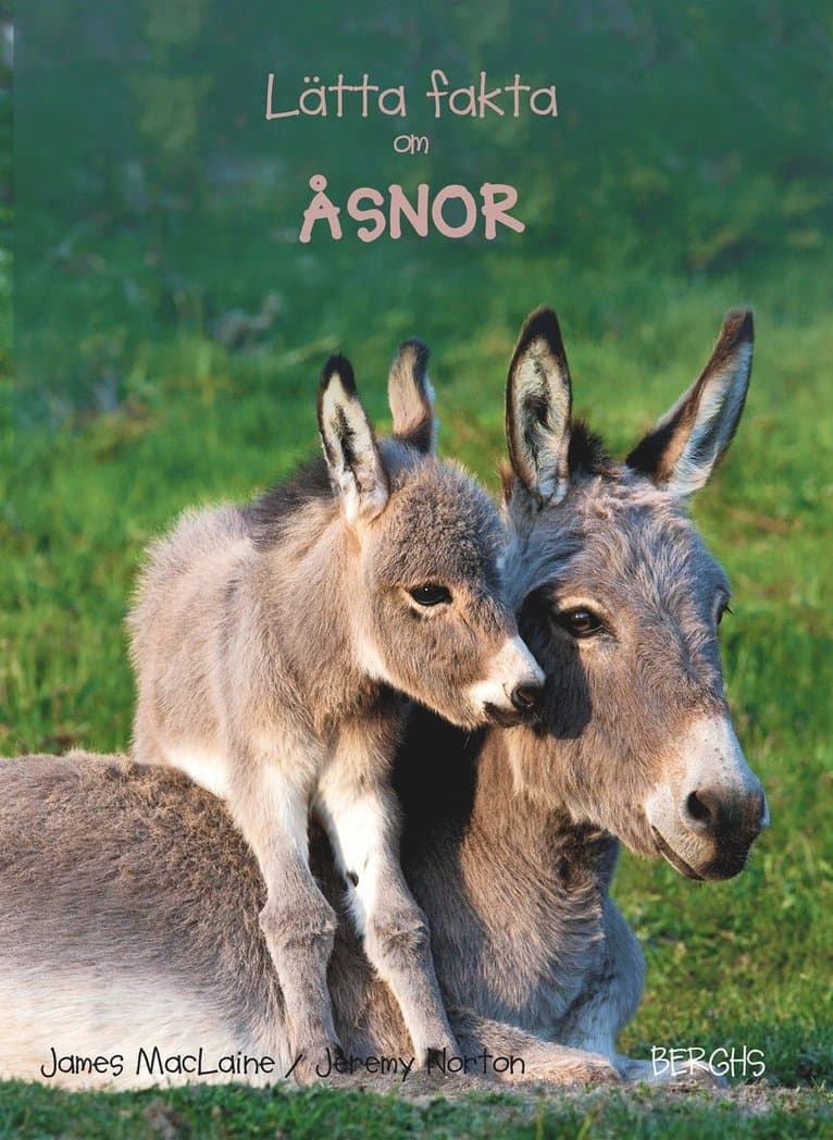 Lätta fakta om åsnor