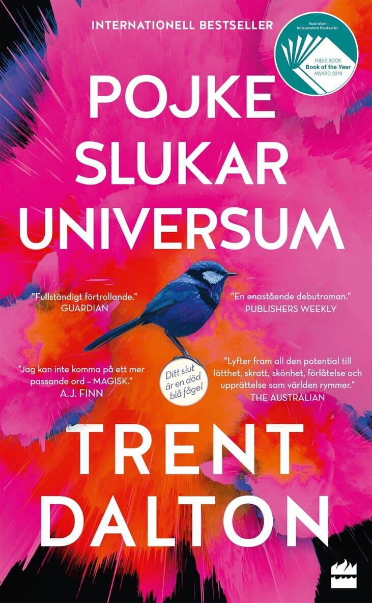 Pojke slukar universum