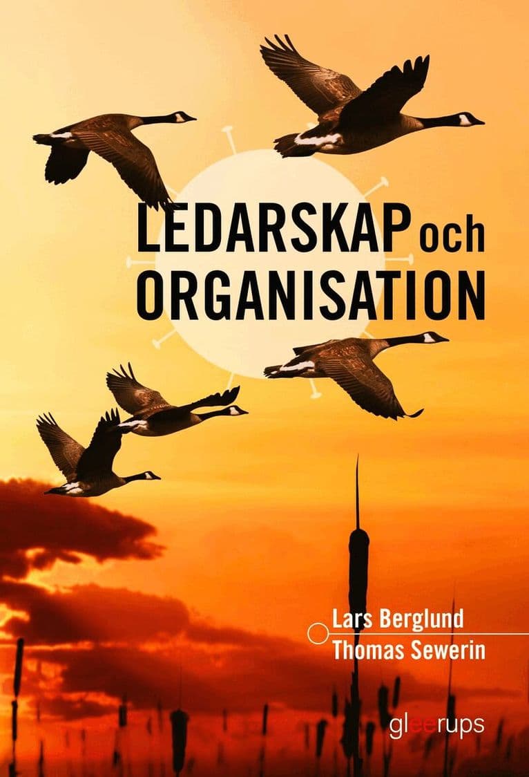 Ledarskap och organisation, elevbok,