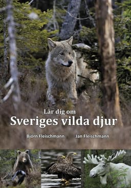 Lär dig om Sveriges vilda djur