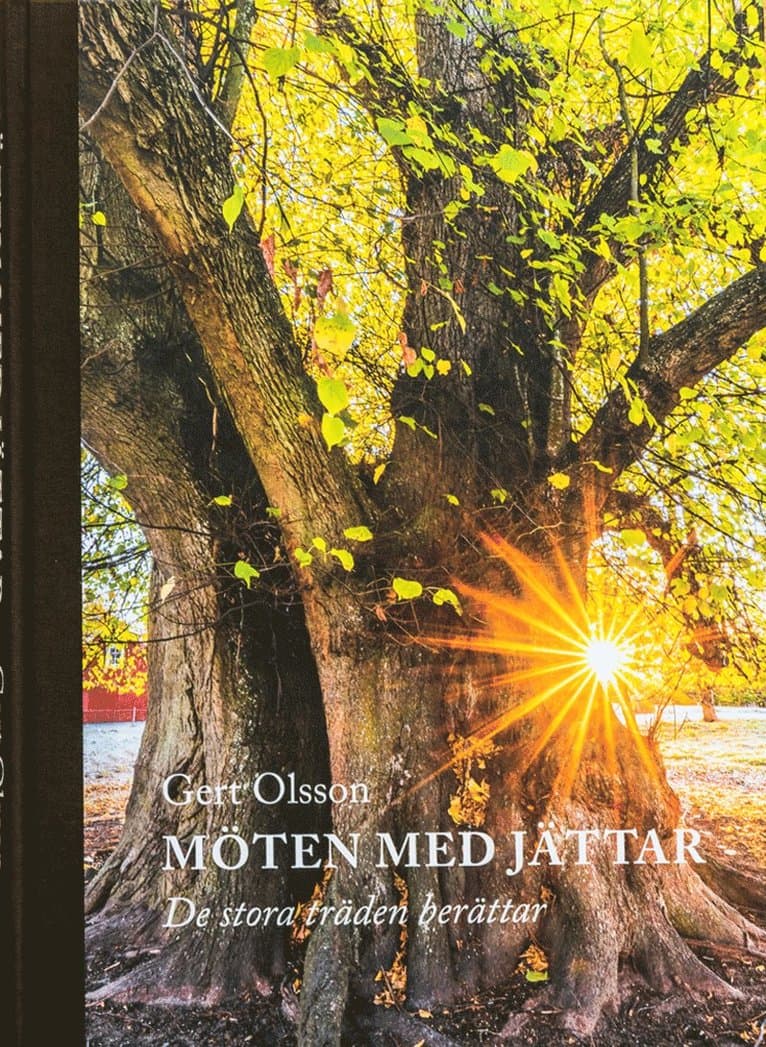 Möten med jättar : de stora träden berättar