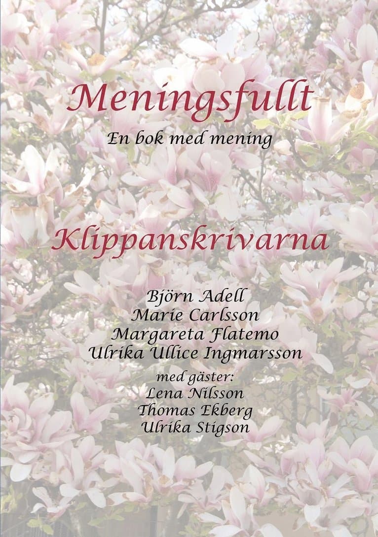 Meningsfullt : en bok med mening - Klippanskrivarna med gäster