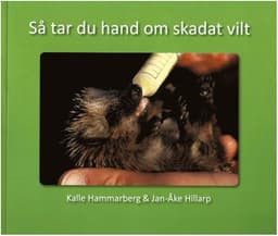Så tar du hand om skadat vilt