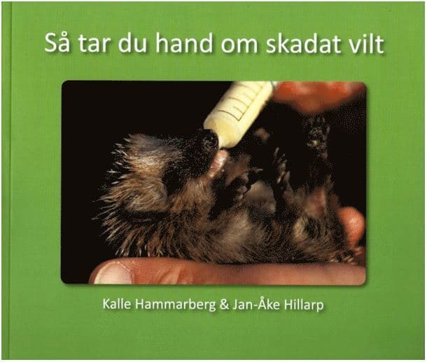 Så tar du hand om skadat vilt