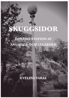 Skuggsidor : dokumentation av ansatser och åtgärder
