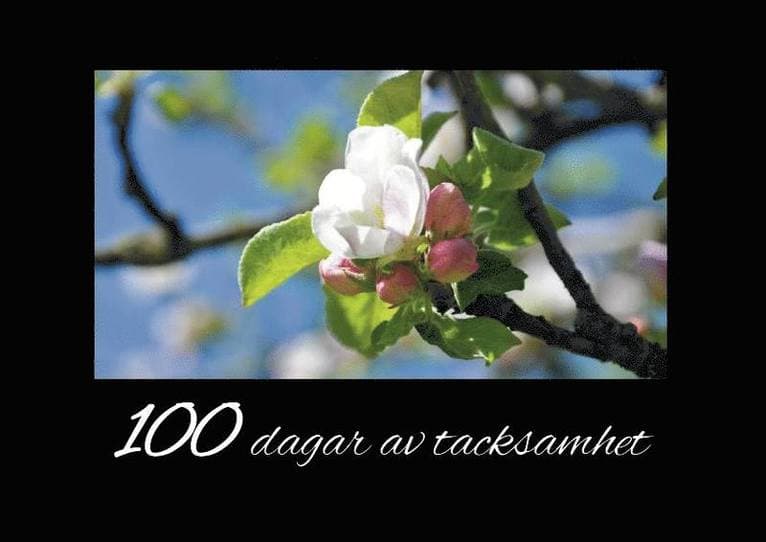 100 dagar av tacksamhet